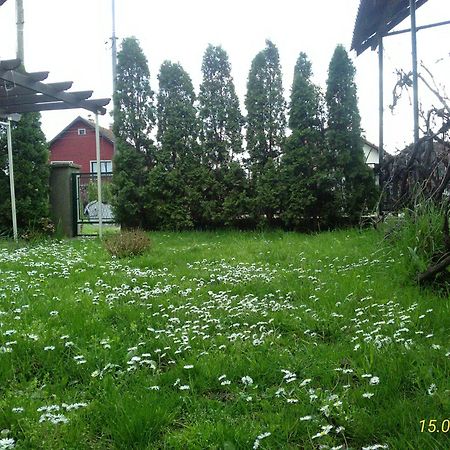 Kuca Za Odmor Jelena Daire Kladovo Dış mekan fotoğraf