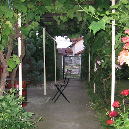 Kuca Za Odmor Jelena Daire Kladovo Dış mekan fotoğraf