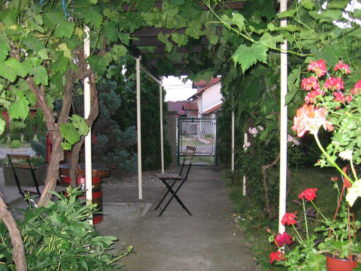 Kuca Za Odmor Jelena Daire Kladovo Dış mekan fotoğraf