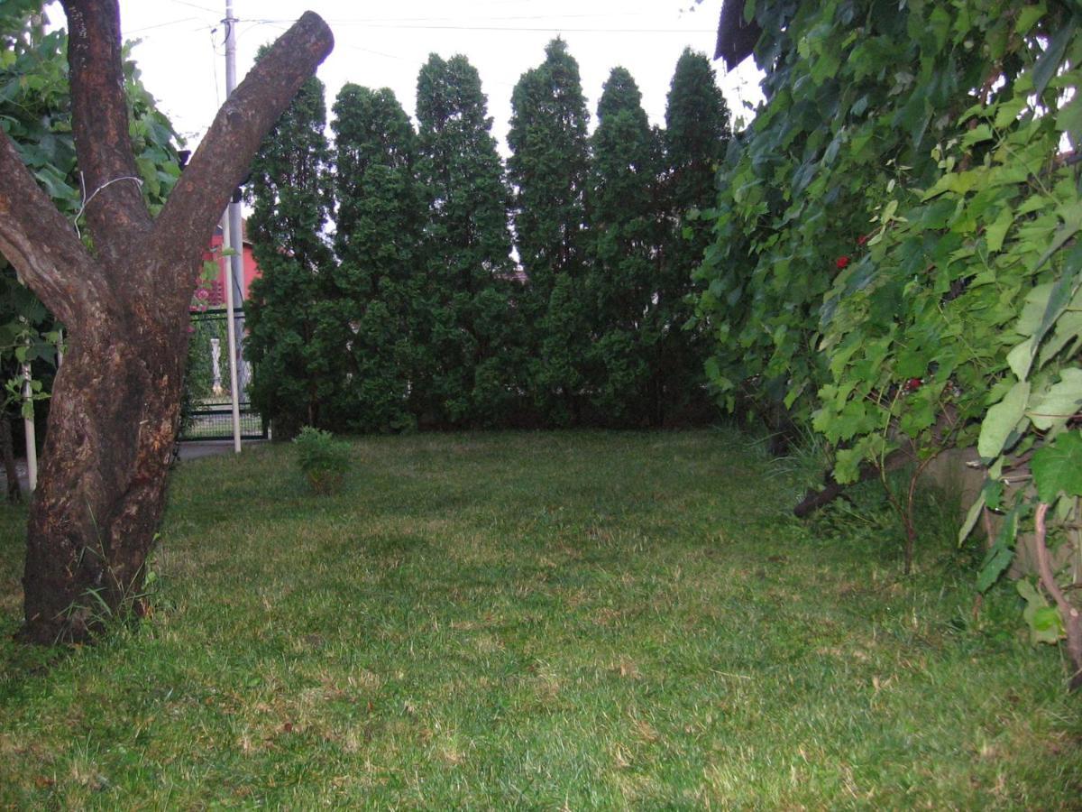 Kuca Za Odmor Jelena Daire Kladovo Dış mekan fotoğraf