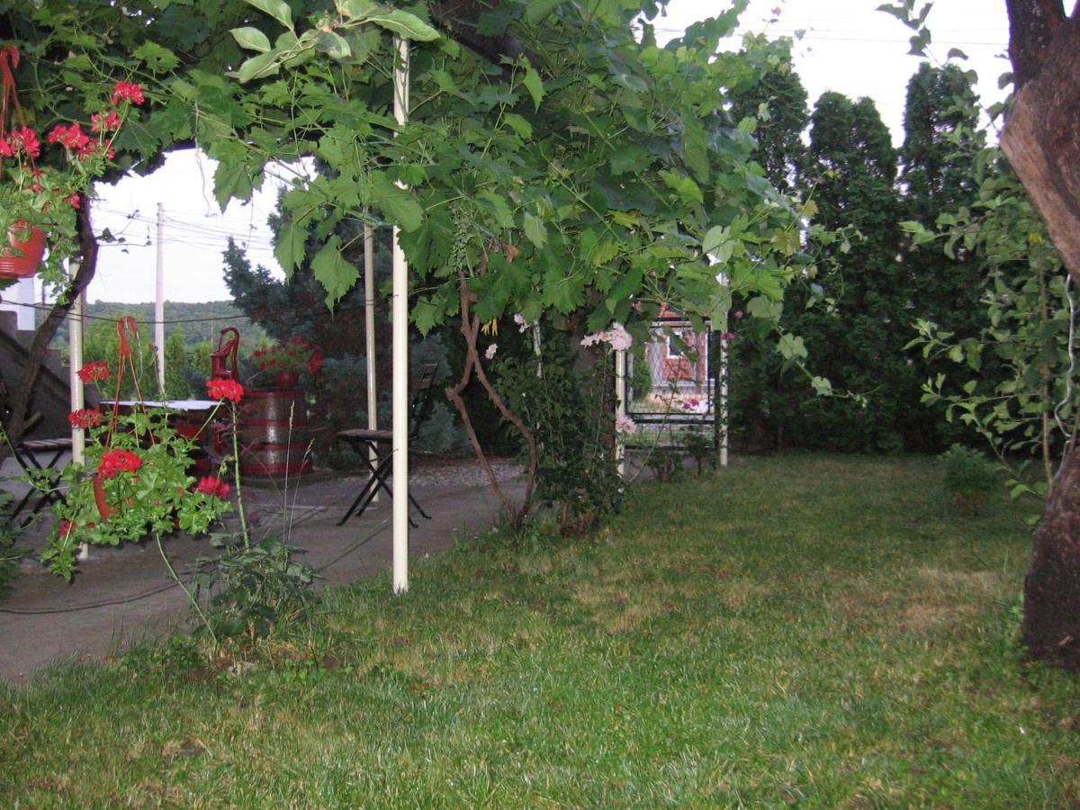 Kuca Za Odmor Jelena Daire Kladovo Dış mekan fotoğraf